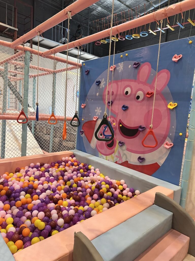 Ball pool and wall climbing area for kids at OWI Kids World, South Delhi